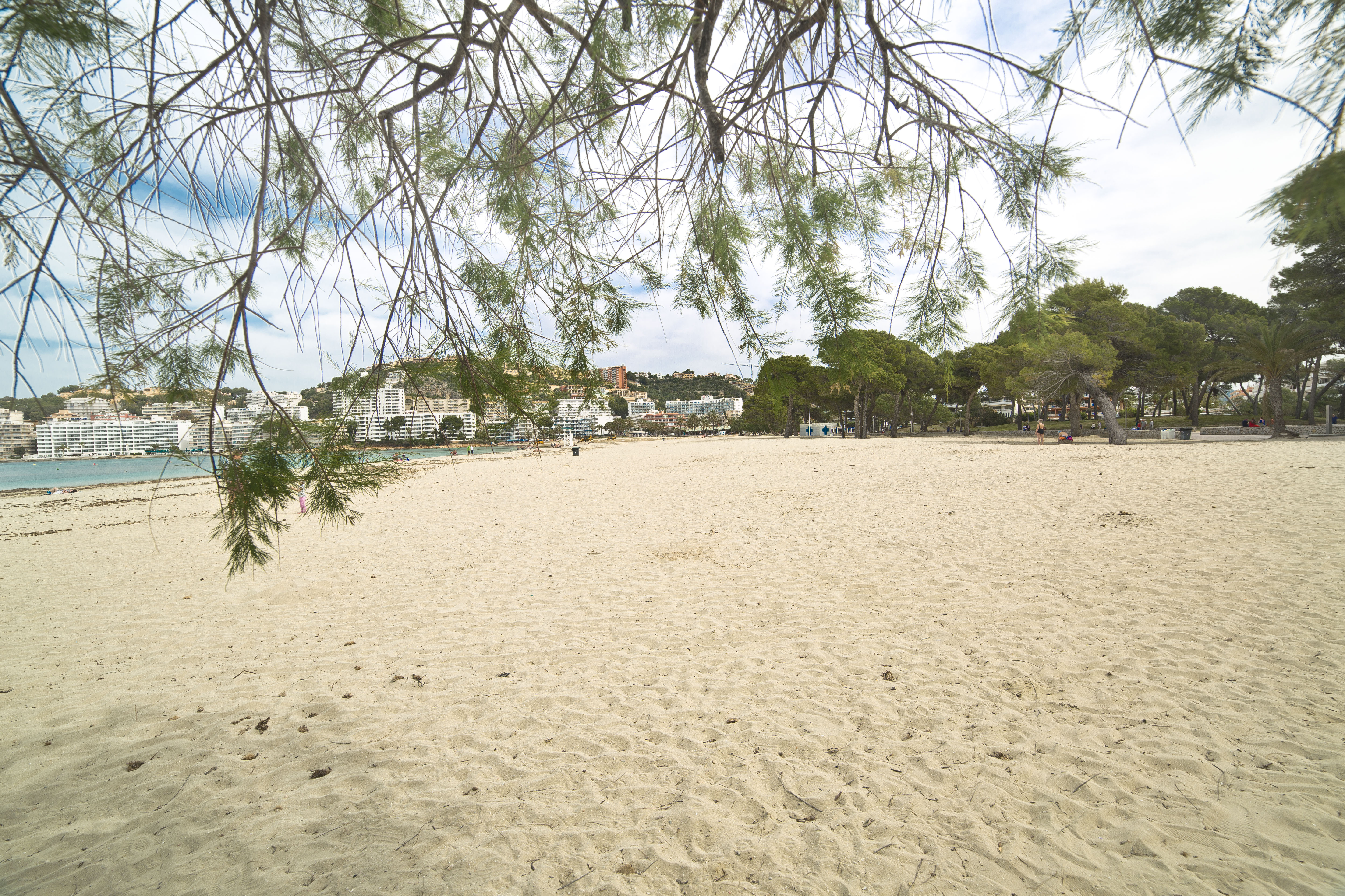 Beaches in Santa Ponsa