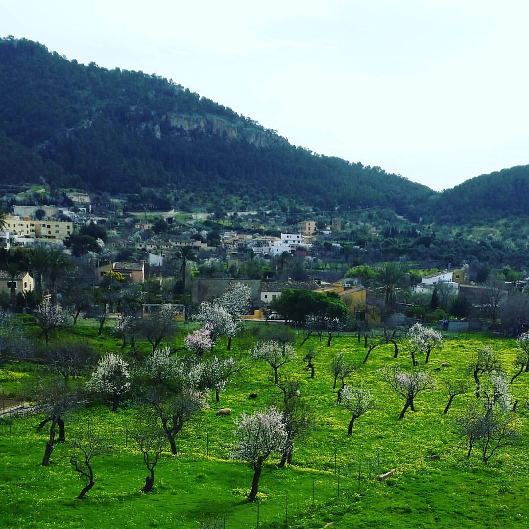 Walking in Mallorca