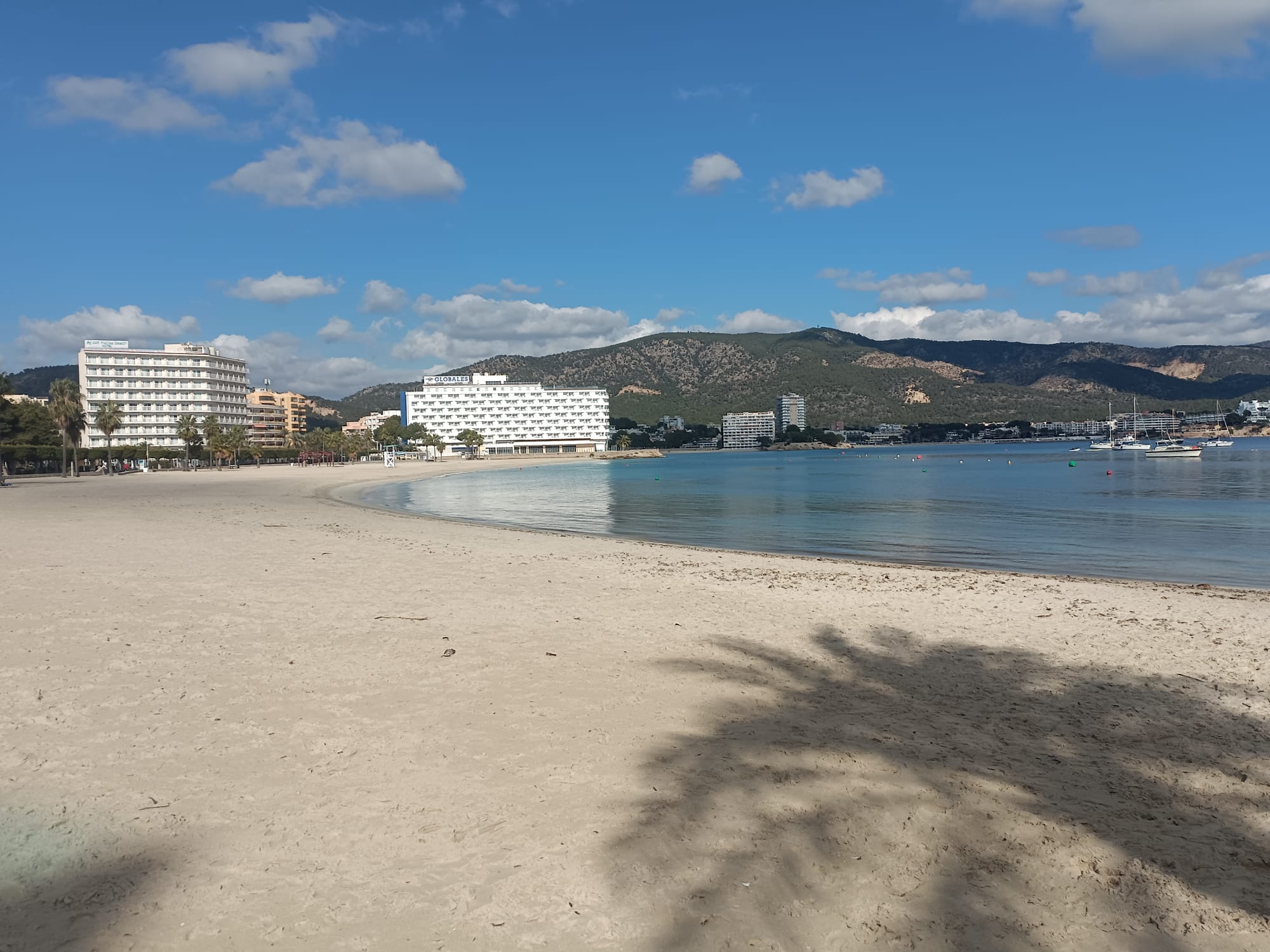 Villa in Mallorca, Palma Nova, Villa Carmen - Location